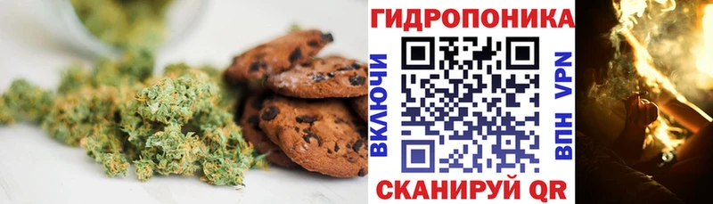 купить наркотики сайты Зуевка это состав Печенье с ТГК конопля