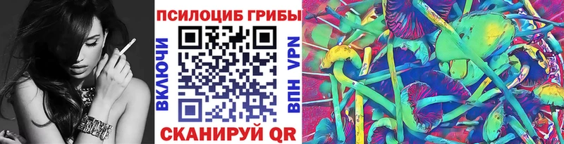 закладки  гидра вход  Псилоцибиновые грибы Cubensis  Зуевка 